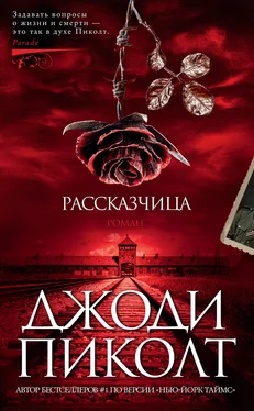 Джоди Пиколт Рассказчица обложка книги