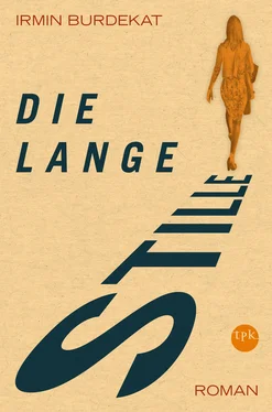 Irmin Burdekat Die Lange Stille обложка книги