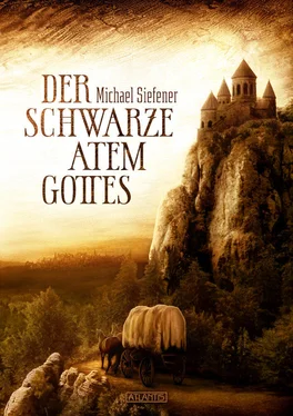 Michael Siefener Der schwarze Atem Gottes обложка книги