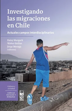 Walter Alejandro Imilan Investigando las migraciones en Chile обложка книги