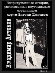 Владимир Антонов - Непридуманные истории, рассказанные неутомимым странником сэром Энтони Джонсом. Том 1