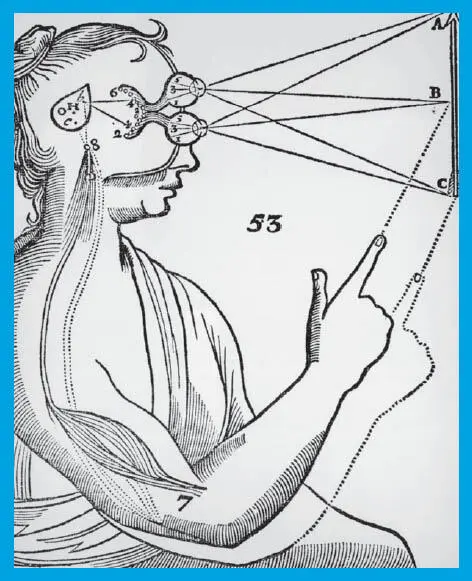 Descartes fanddie Zirbeldrüse sei ideal platziert um die Eindrücke der - фото 17