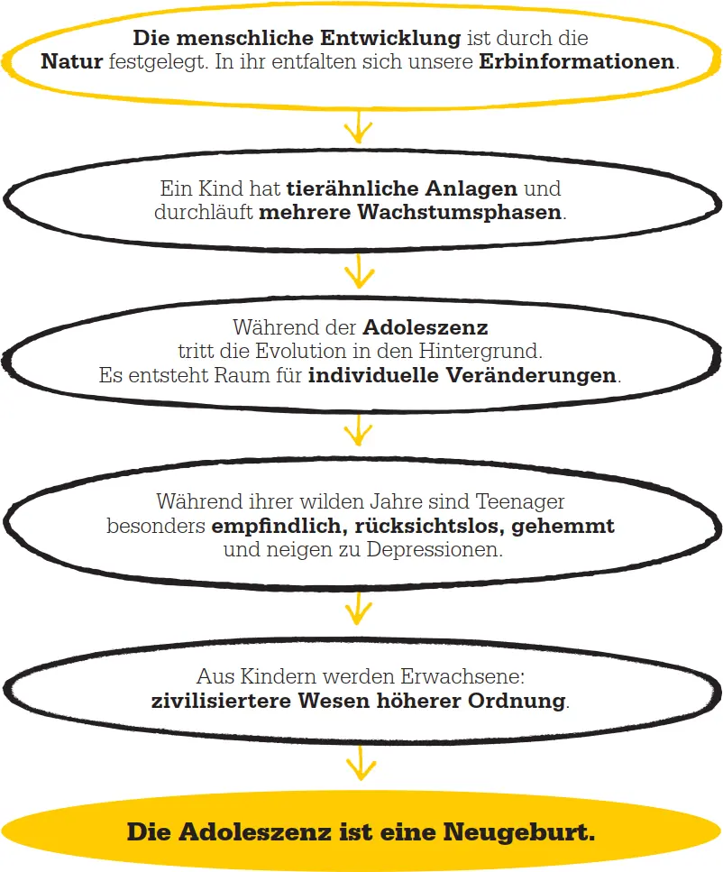 Aktualität Viele von Halls Forschungsergebnissen sind noch heute aktuell So - фото 62