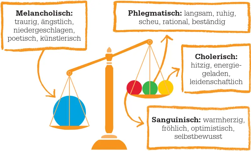 Ein Ungleichgewicht der Säfteist ausschlaggebend für den Persönlichkeitstypus - фото 12