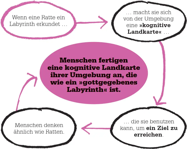 Latentes Lernen Tolman nannte die erste Lernphase in der die Tiere noch nicht - фото 100