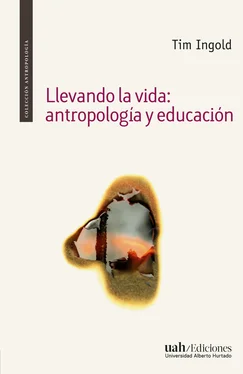 Tim Ingold Llevando la vida: antropología y educación обложка книги