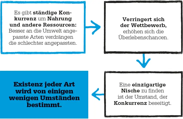 Erweitertes Nischenkonzept In den 1920erJahren dachte der britische Ökologe - фото 62