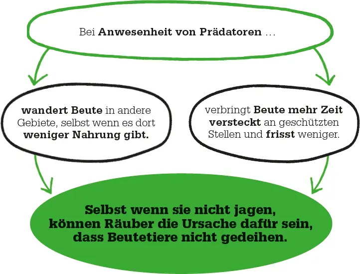 Landtiere Die frühen Studien nicht konsumtiver Effekte untersuchten - фото 108