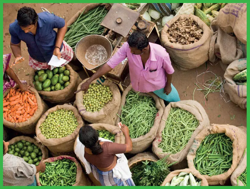 Regionale Märktewie hier in Kerala Indien verhalten sich genauso wie Smiths - фото 79