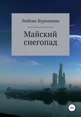 Любовь Бурнашева Майский снегопад обложка книги