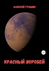 Алексей Грашин - Красный воробей
