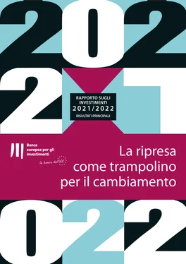 Неизвестный Автор Rapporto della BEI sugli investimenti 2021/2022 - Risultati principali обложка книги