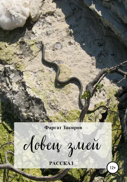 Фаргат Закиров Ловец змей обложка книги