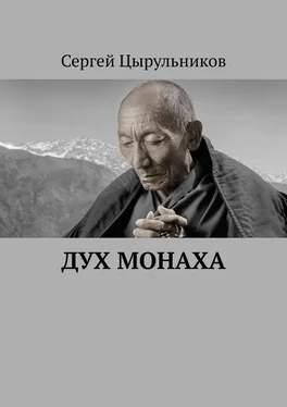 Сергей Цырульников Дух монаха обложка книги