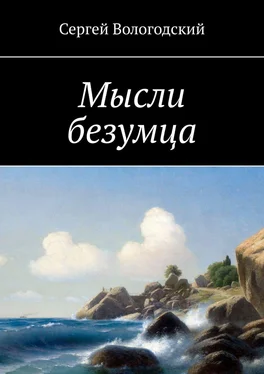 Сергей Вологодский Мысли безумца обложка книги