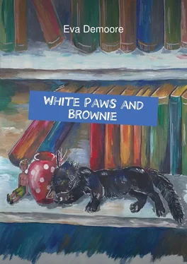 Eva Demoore White Paws and Brownie обложка книги