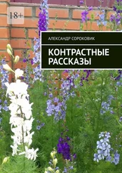 Александр Сороковик - Контрастные рассказы