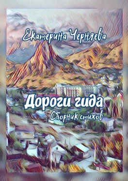 Екатерина Черняева Дороги гида. Сборник стихов обложка книги