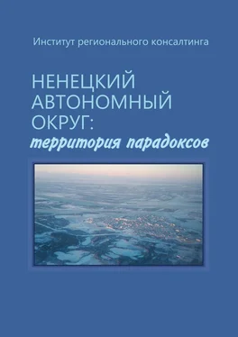 А. Пилясов Ненецкий автономный округ: территория парадоксов обложка книги