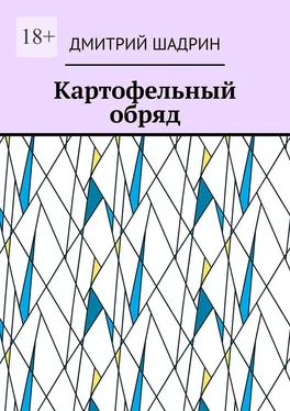 Дмитрий Шадрин Картофельный обряд обложка книги