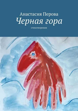 Анастасия Перова Черная гора. Стихотворения обложка книги
