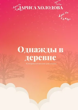 Лариса Холодова Однажды в деревне. Юмористические рассказы обложка книги