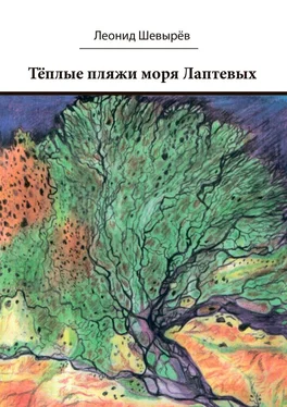 Леонид Шевырев Тёплые пляжи моря Лаптевых обложка книги