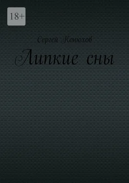 Сергей Конюхов Липкие сны обложка книги