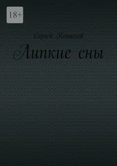 Сергей Конюхов - Липкие сны