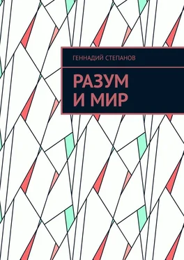 Геннадий Степанов Разум и Мир обложка книги