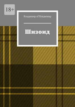 Владимир of Владимир Шизоид обложка книги