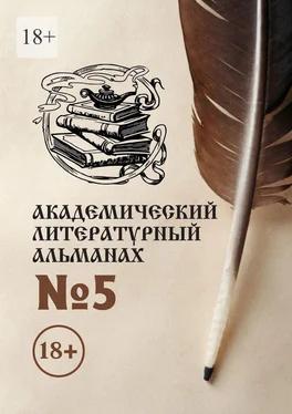 Н. Копейкина Академический литературный альманах №5 обложка книги