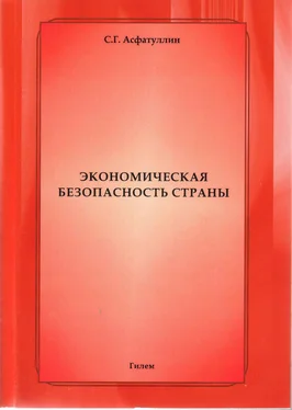 Салават Асфатуллин Экономическая безопасность страны обложка книги