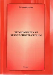 Салават Асфатуллин - Экономическая безопасность страны