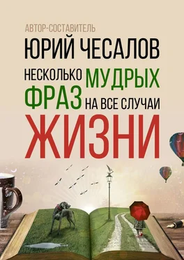 Александр Чесалов Несколько мудрых фраз на все случаи жизни обложка книги