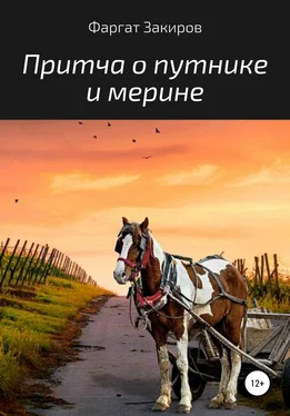 Фаргат Закиров Притча о путнике и мерине обложка книги