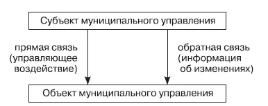 Рис 131Система муниципального управления Доминантой элементов муниципального - фото 18