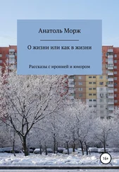 Анатоль Морж - О жизни, или Как в жизни