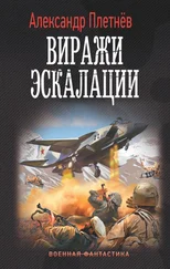 Александр Плетнёв - Виражи эскалации