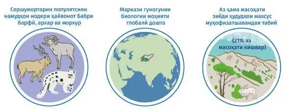 3 Таъсири антропогенӣ ба гид - фото 4