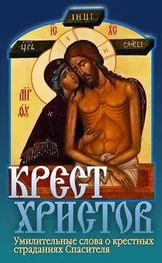 Дмитрий Семеник Крест Христов обложка книги