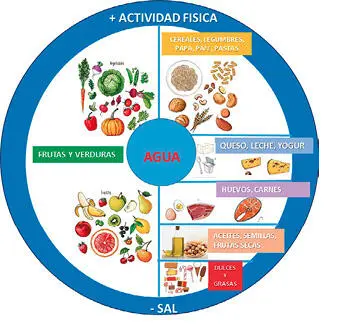 Figura 51 Tomado y modificado de Guías Alimentarias para la Población - фото 74