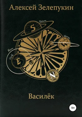 Алексей Зелепукин Василёк обложка книги