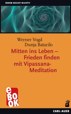 Dunja Batarilo Mitten ins Leben – Frieden finden mit Vipassana-Meditation обложка книги