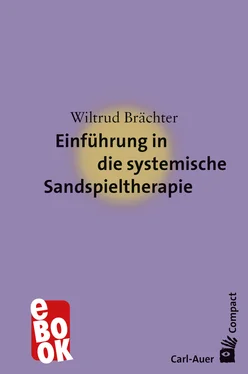 Wiltrud Brächter Einführung in die systemische Sandspieltherapie обложка книги