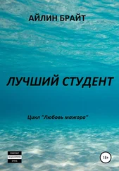 Айлин Брайт - Лучший студент