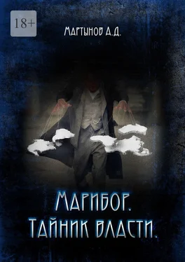 Андрей Мартынов Марибор. Тайник власти обложка книги