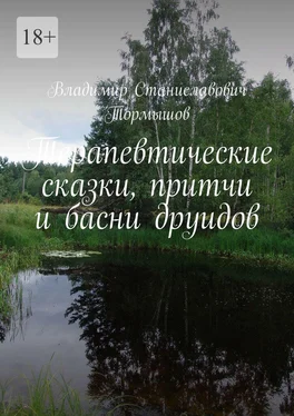 Владимир Тормышов Терапевтические сказки, притчи и басни друидов обложка книги
