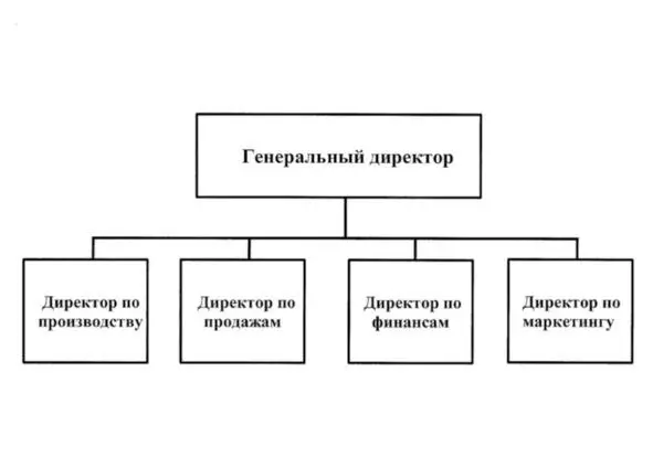 Рис13 Функциональная организационная структура Функциональная - фото 3