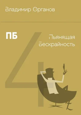Владимир Органов ПБ – Пьянящая Бескрайность обложка книги
